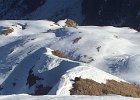 IMG 3345