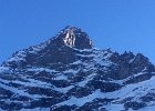 IMG 3380