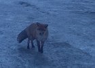 IMG 3390