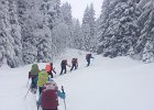 IMG 3442