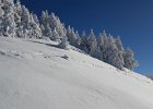 20170115 111421  IICSA