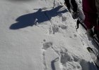 20170115 112102