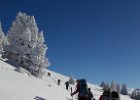 20170115 112109  IICSA