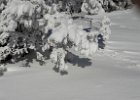 20170115 112139  IICSAII
