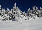 20170115 112150  IICSAII