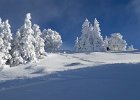20170115 113615  IICSAII