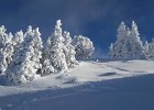 20170115 113618  IICSAII
