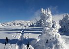 20170115 113902
