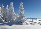20170115 113906  IICSA
