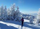 20170115 113921  IICSAII