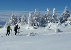 20170115 114917  IICSAII