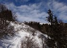 DSC08386