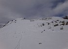 DSC08421