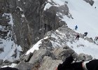 20170128 115836  IICSA