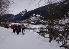 DSC08547
