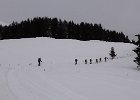 DSC08558