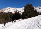 DSC08631