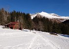DSC08709