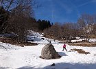 DSC08767