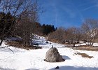 DSC08768
