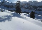 IMG 0804 : 0185_bostan
