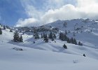 IMG 0849 : 0186_Berte-Ayers