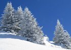 IMG 0857 : 0186_Berte-Ayers, 0186_album