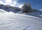 IMG 0859 : 0186_album, 0186_Berte-Ayers
