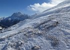 IMG 0917 : 0186_Berte-Ayers