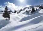 IMG 0964 : 0186_Berte-Ayers, 0186_album