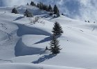 IMG 1056 : 0186_Berte-Ayers