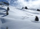 IMG 1057 : 0186_Berte-Ayers