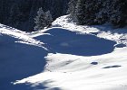IMG 0442 : 0183_album, 0183_mont_rogneux