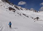 DSC08888
