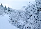 IMG 1826 : 3032-0192_fenetre_cicle, 0192-album