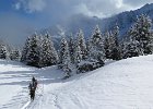 IMG 1839 : 0192-album, 3032-0192_fenetre_cicle