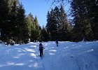 DSC00652