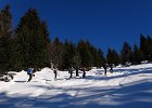 DSC00654