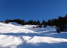 DSC00660