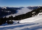 DSC00662