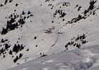 DSC00689