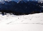 DSC00697