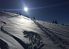 IMG 2692