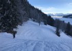 IMG 4387