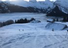 IMG 4390
