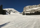 IMG 4391