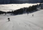 IMG 4392