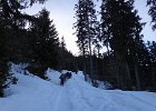 DSC00840