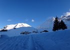 DSC00844