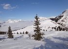 DSC00883